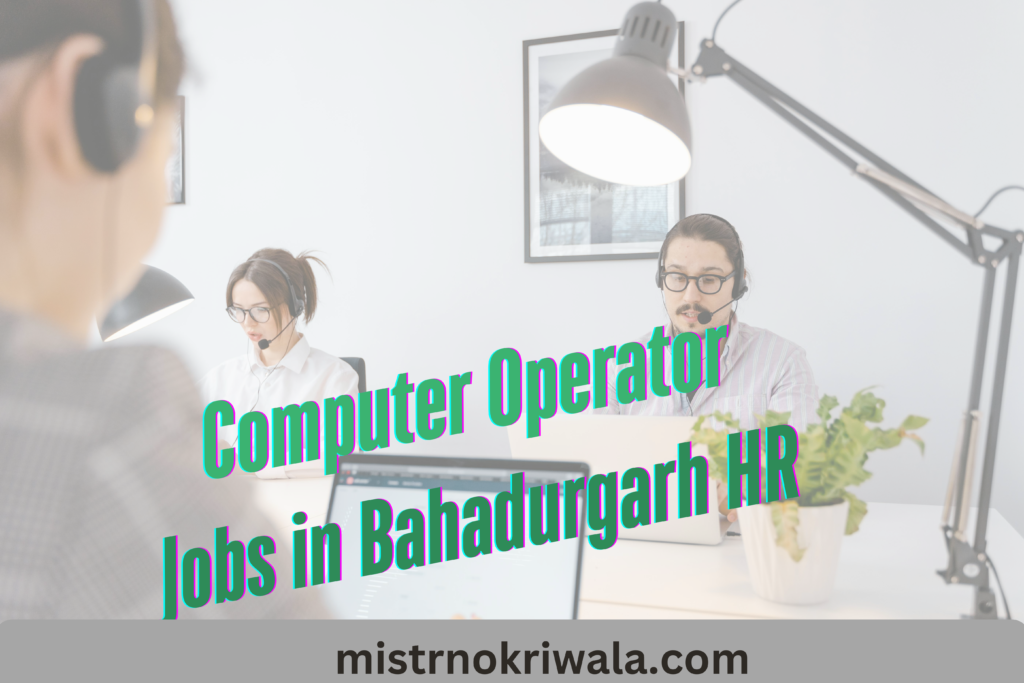 "Computer Operator Jobs in Bahadurgarh HR - MistrNokriWala.com - Job seekers working on computers in an office environment with headsets."